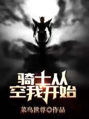 骑士从空我开始免费阅读gl