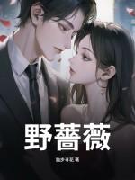 野蔷薇村的故事电子版