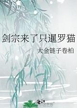 剑宗来了只暹罗猫TXT资源