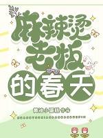 麻辣烫老板的春天免费阅读最