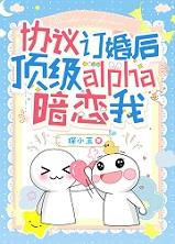 协议结婚后热搜爆了免费阅读