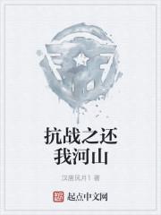 抗战之还我河山在线阅读