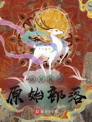 这是我的原始部落免费全文阅读
