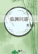 临渊系列