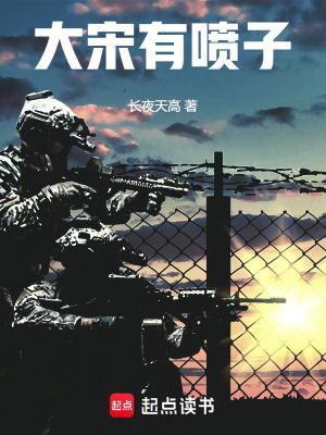 大宋大宋有种