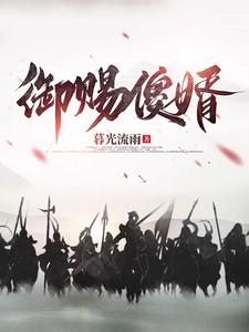 御赐傻婿短剧合集