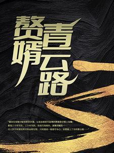 赘婿青云路天选之主的
