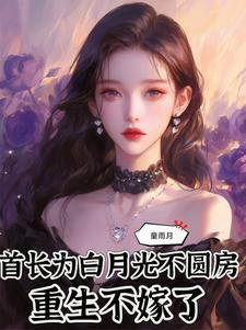 重生首长夫人不好惹