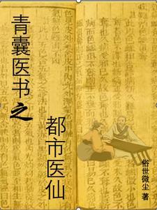 青囊医书之都市医仙免费完整版