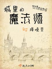 城里的魔法师TXT全本免费阅读