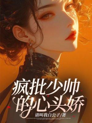 少帅疯流宫