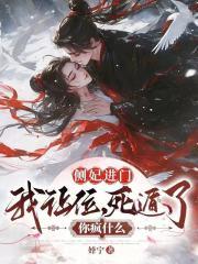 侧妃进门王妃出走