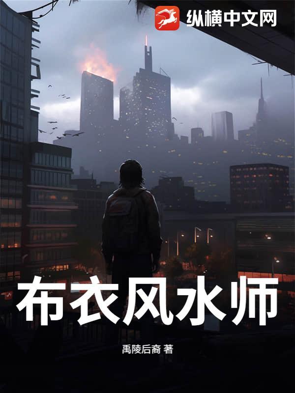 风水大师布衣的经典故事
