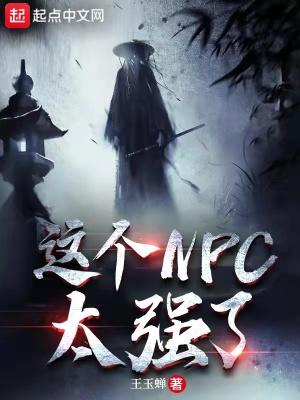 这个npc太凶猛了起点