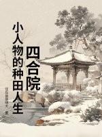 四合院系列阅读