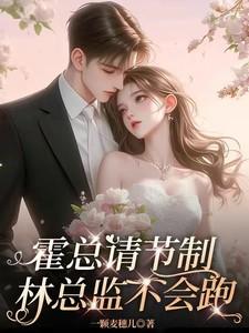 霍总请接招免费阅读全文免费