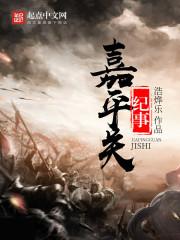 嘉平关纪事豆瓣评分