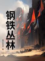 钢铁丛林mk14 钢铁丛林mk14