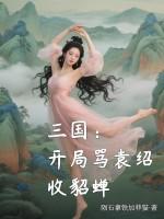 三国开局杀了袁术