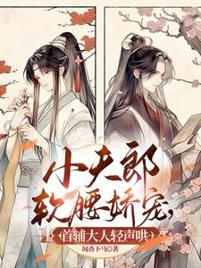 首辅家的小夫郎
