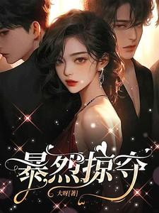 暴力掠夺财富