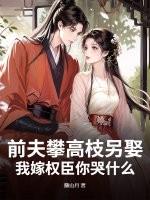 前夫高攀不起免费阅读