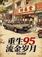 重生95流金岁月无错版