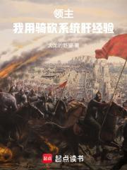 领主我用骑砍系统肝经验无防盗