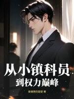 从乡镇到中央的仕途官路风云