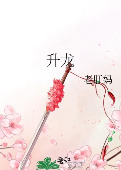 升龙灯光官网