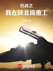 抗战之我是一个工业人作者是谁