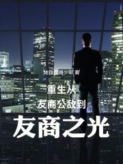 重生从友商公敌到友商之光小TXT笔趣阁