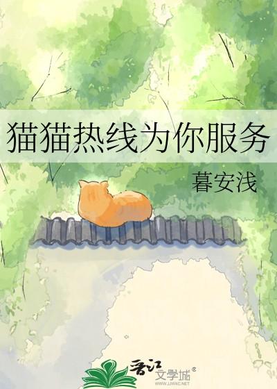 猫猫客服 猫猫客服