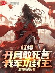 红楼开局敢死营