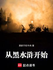 从黑水浒开始作者洒家不吃牛肉