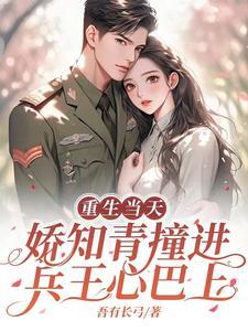 重生之知青娇娇女简介