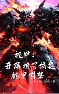 机甲开局拆了校花机甲引擎最新章节