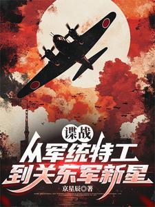 军统特工谍战剧