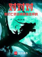 亡灵法师百度百科