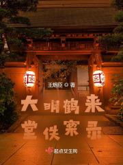 大明鹤来堂佚案录讲的什么 大明鹤来堂佚案录讲的什么