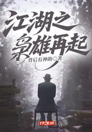 江湖之枭雄再起百度百科