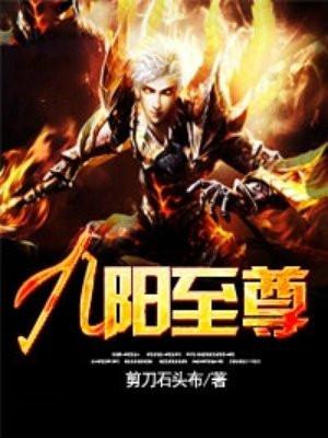 九阳至尊男主几个女人