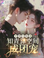 东北下乡知青的电视剧