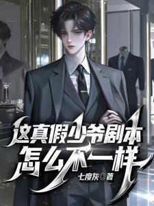 真假少爷的电视剧