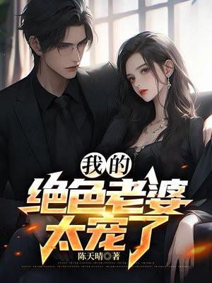 我的绝色老婆洪阳