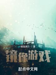 镜像游戏安装慢