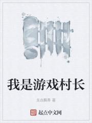 我是游戏村长TXT
