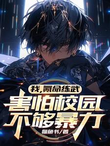 我氪命练武害怕校园不够暴力境界划分 我氪命练武害怕校园不够暴力境界划分