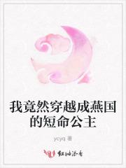 穿越到燕国是什么