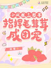 我想要看小凤凰